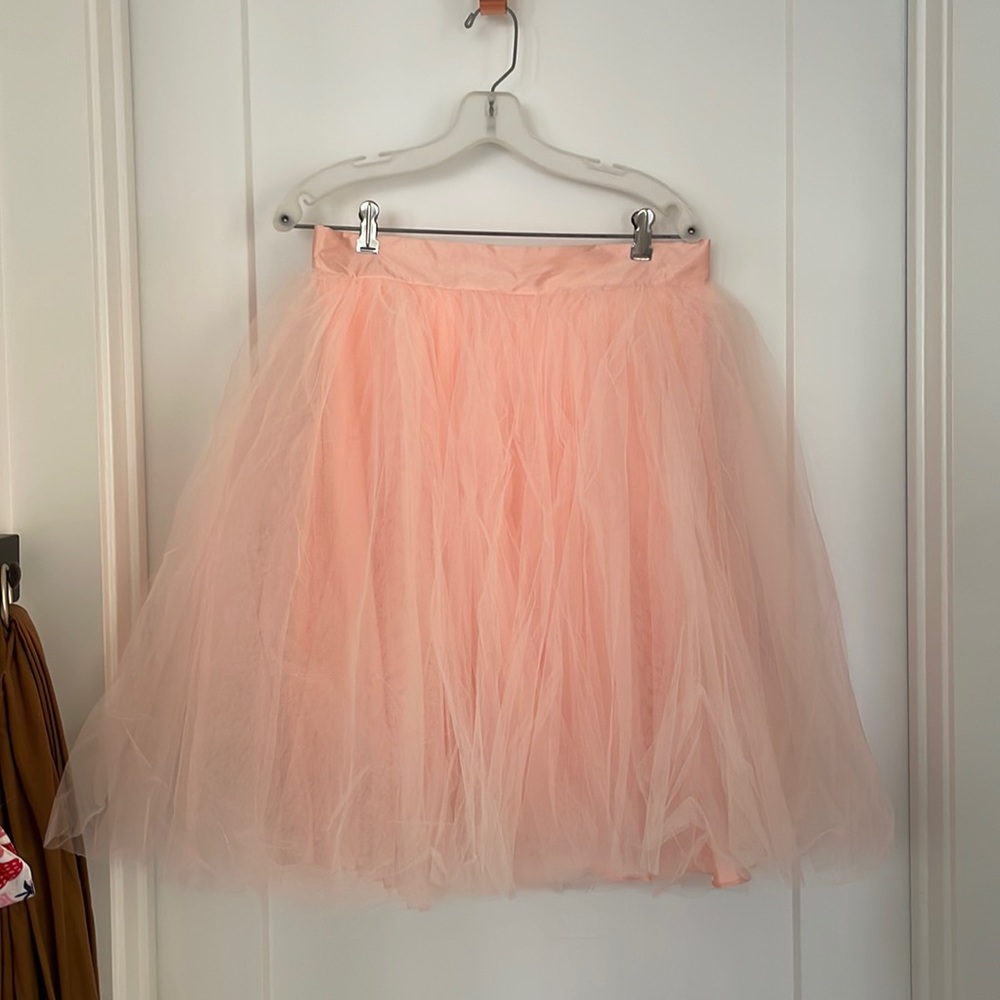 Space 46 Boutique Blush Tulle Skirt